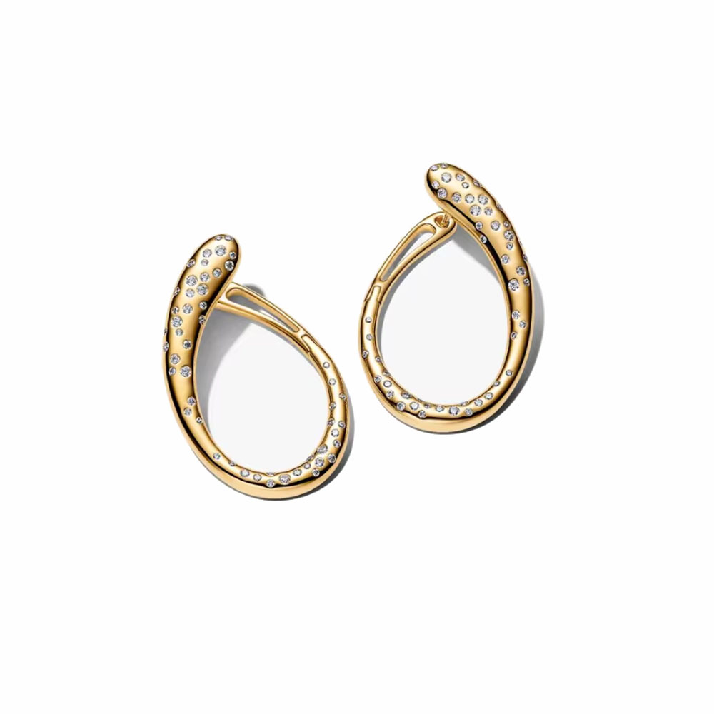 Brincos de Zircônia em Forma d - Tie Clip Silver avaliação e preço